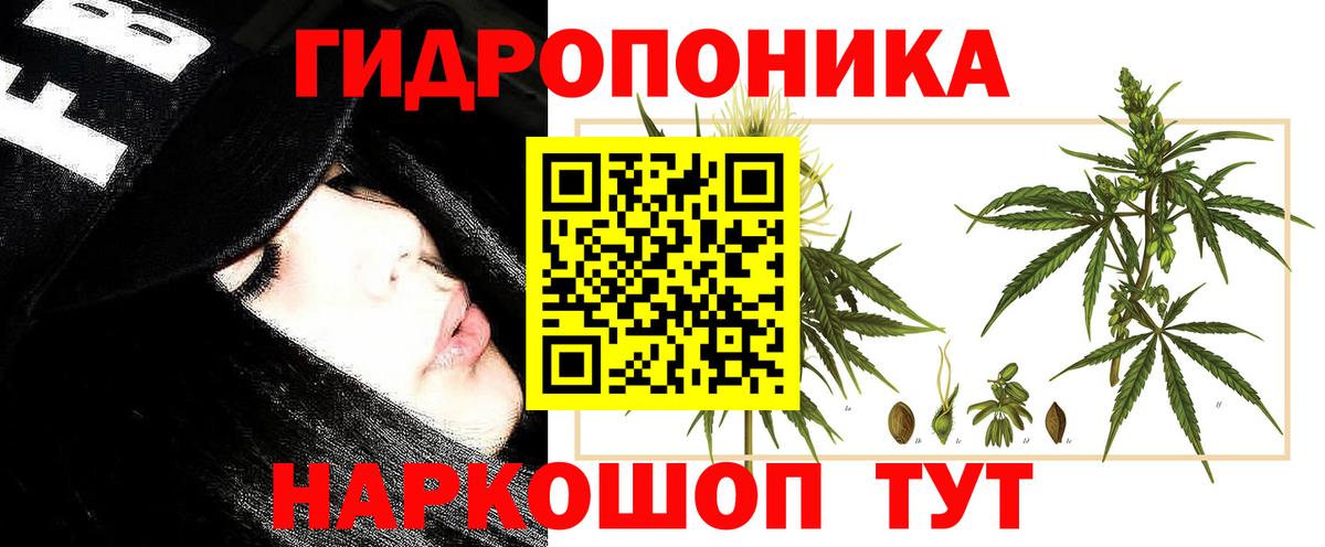 Шишки марихуана план  Каннабис индика  Вход с VPN  Барнаул  Шишки марихуана план 